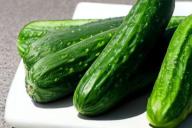 cucumbers