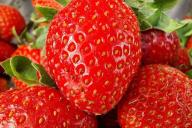 strawberry