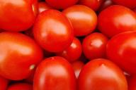 tomatoes