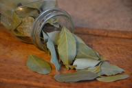 Bay leaves