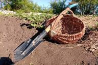 Garden Shovel