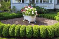 Parterre de fleurs