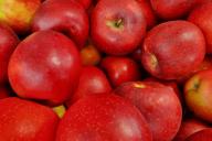 Apples, fruits