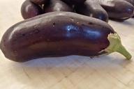 Eggplant