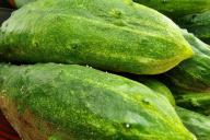 cucumbers