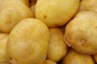 Potatoes