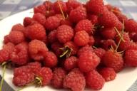 Raspberry