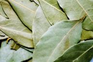 Bay leaves