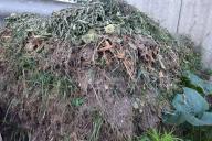 Compost grass