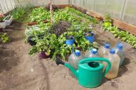 Vegetable garden Watering can