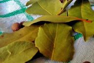 Bay leaves