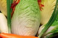 Chinese cabbage