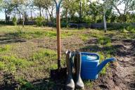 Spade and watering can