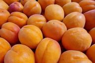 Abricots