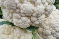 Cauliflower