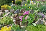 Parterre de fleurs