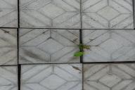 Tile