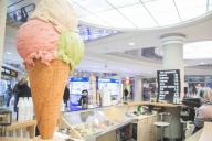 Ice Cream Shop