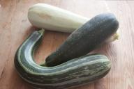 courgettes