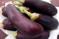 Aubergine