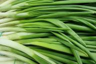 Green onions