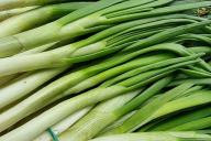 Green onions