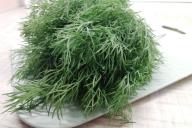 Dill