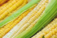 corn