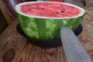 watermelon