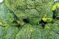 Brocoli