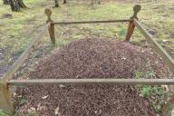 mulch