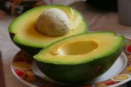 Avocat