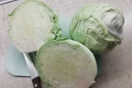 Cabbage