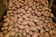 Potatoes