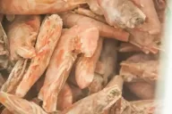 Frozen shrimp