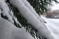 árbol de navidad nieve