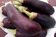 Aubergine