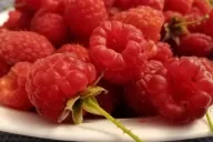 Raspberry