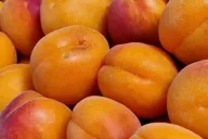 Abricots