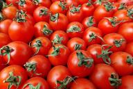 Tomaten