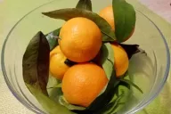 Mandarin