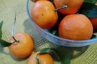 Tangerines, fruits