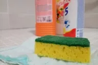 Sponge