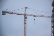 Grue