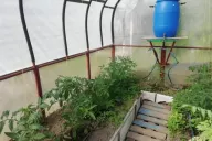 Seedlings Greenhouse