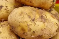 Potatoes