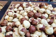 nueces