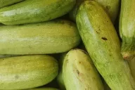 Courgettes 