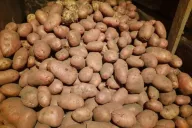 Potatoes