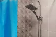 Shower curtain